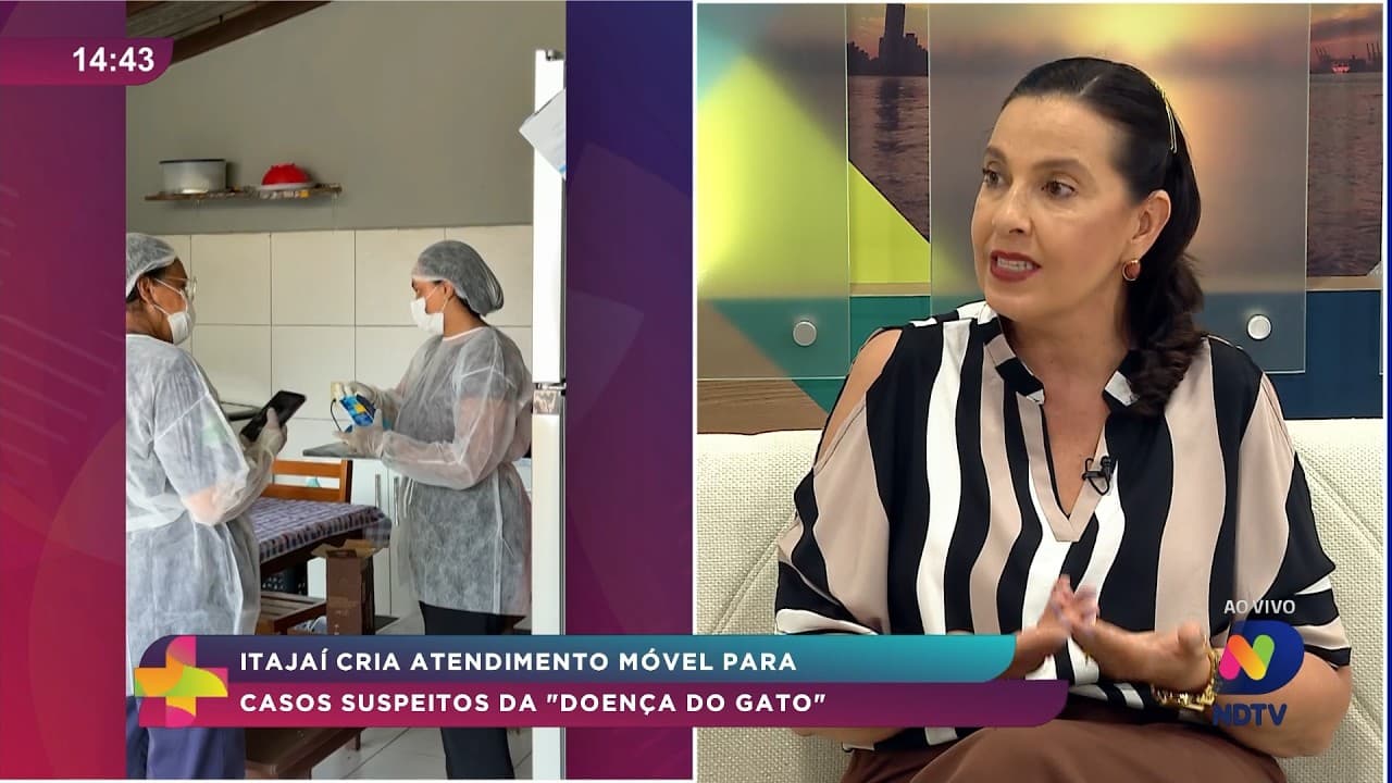 Itajaí cria atendimento móvel para doença do gato