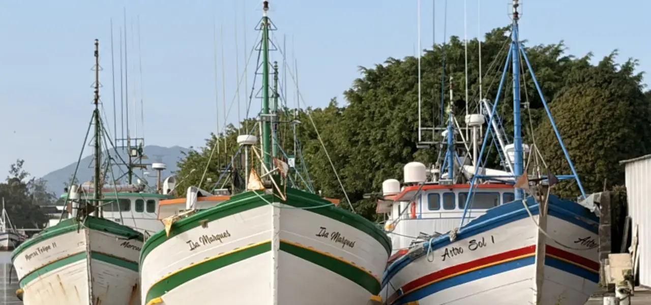 Pesca em Itajaí: Pilar Econômico que Gera Emprego e Renda na Região