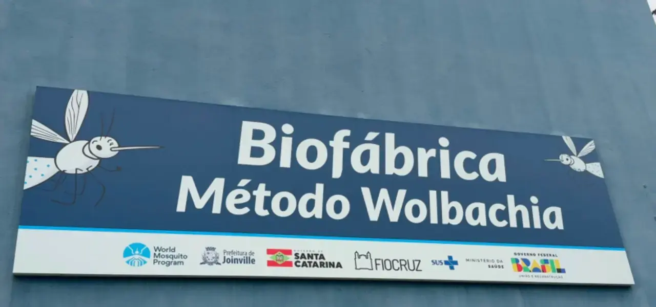 Itajaí conhece biofábrica do método Wolbachia em Joinville - Visor Notícias
